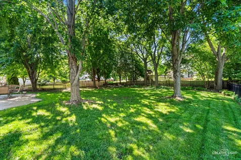216 Willowwood Drive Oswego IL 60543