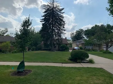 634 Babetta Avenue Park Ridge IL 60068