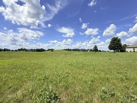15685 South Stonewall Drive Newark IL 60541