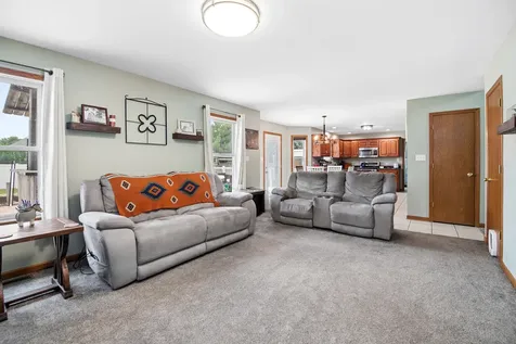 487 Locust Lane Peotone IL 60468