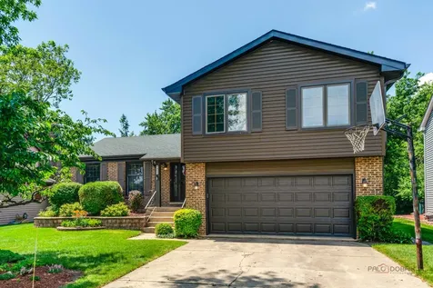 820 Long Meadow Drive Schaumburg IL 60193