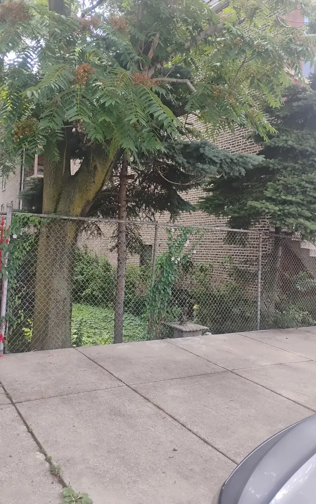 2015 South Throop Street Chicago IL 60608