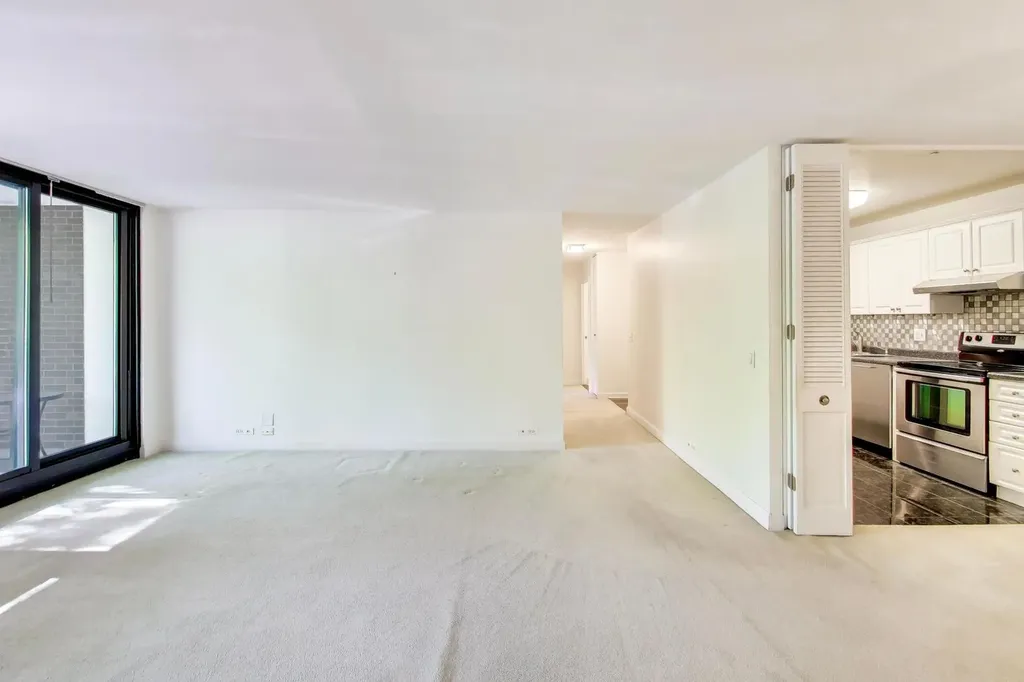 1555 North Sandburg Terrace Chicago IL 60610