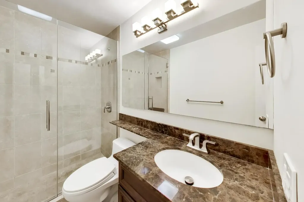 1555 North Sandburg Terrace Chicago IL 60610