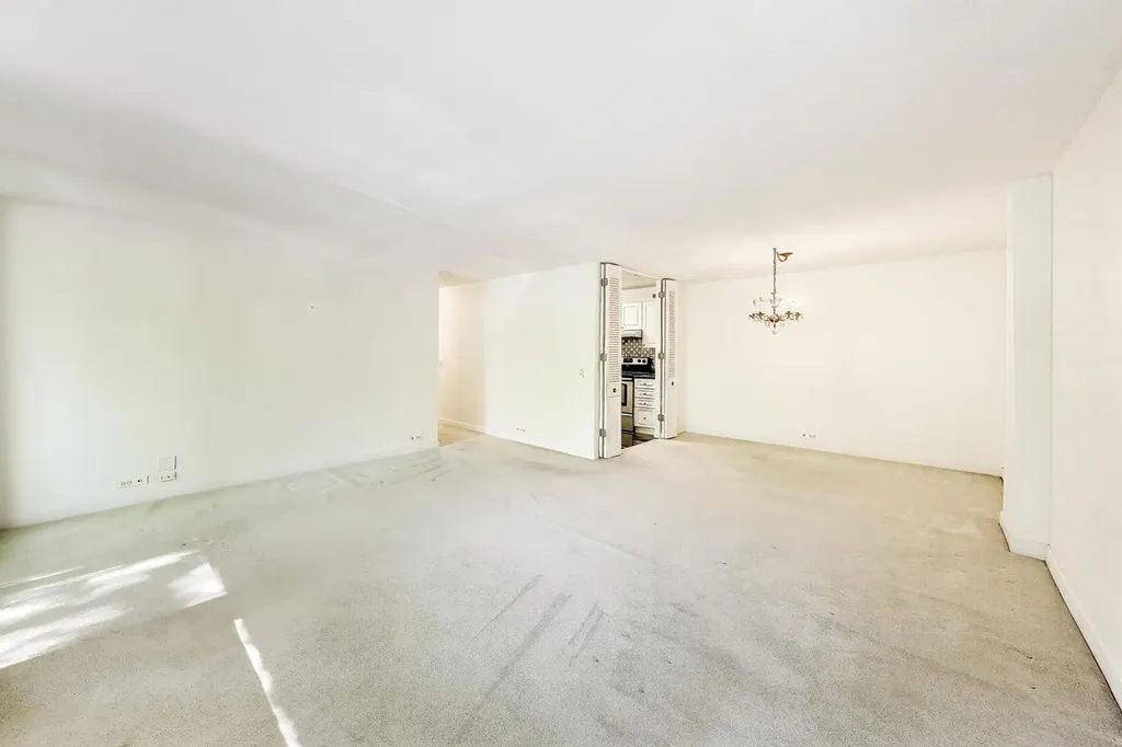 1555 North Sandburg Terrace Chicago IL 60610