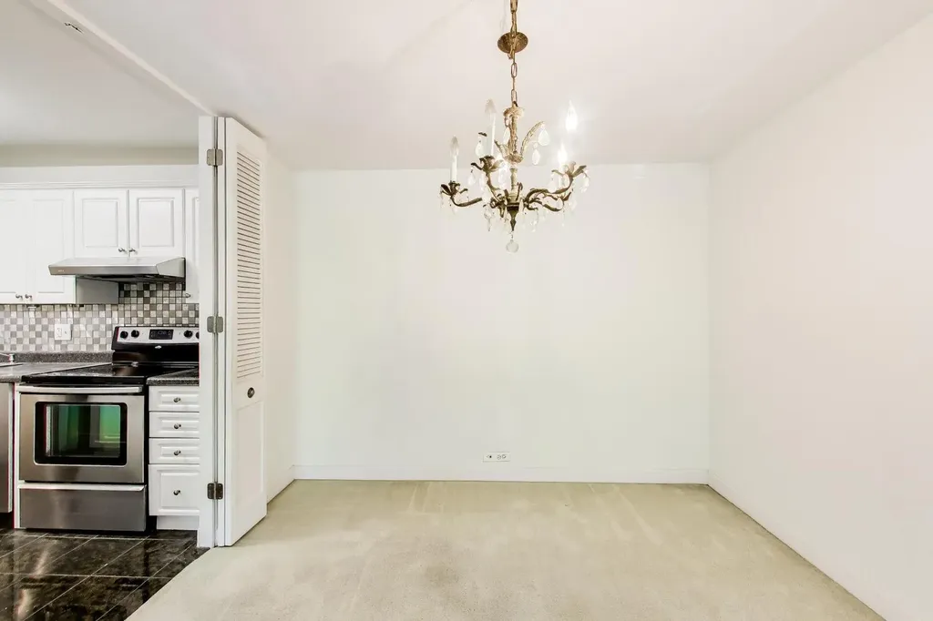 1555 North Sandburg Terrace Chicago IL 60610