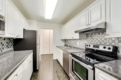 1555 North Sandburg Terrace Chicago IL 60610