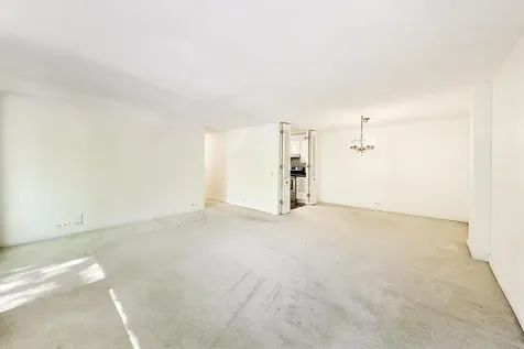1555 North Sandburg Terrace Chicago IL 60610