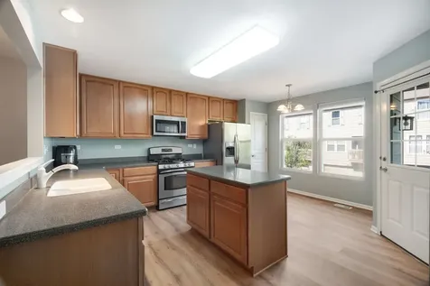 113 Blackhawk Court Wood Dale IL 60191