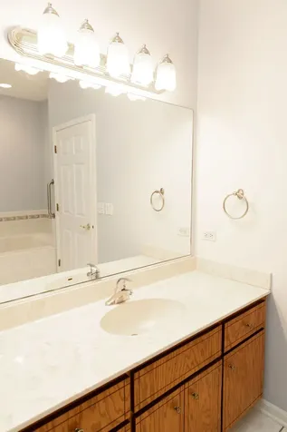 11432 Foxwoods Drive Oak Lawn IL 60453