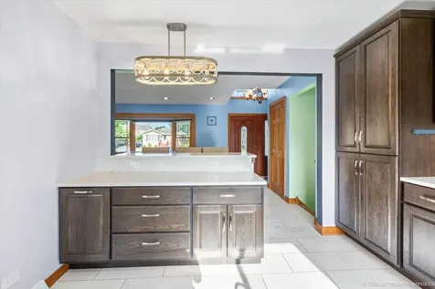 10141 Alice Court Oak Lawn IL 60453