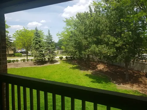 157 Louise Court Wood Dale IL 60191