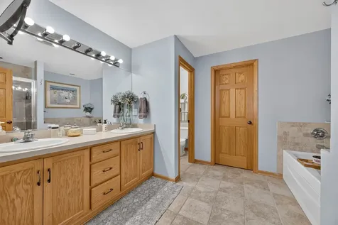 21329 Windy Hill Drive Frankfort IL 60423