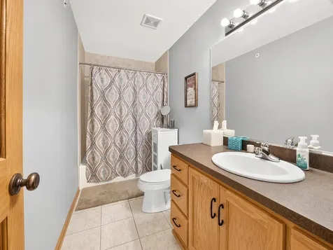 21329 Windy Hill Drive Frankfort IL 60423