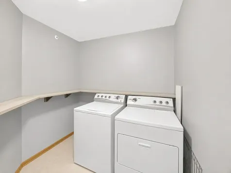 21329 Windy Hill Drive Frankfort IL 60423