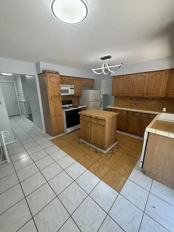 942 East 168th Street South Holland IL 60473