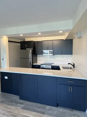 300 North State Street Chicago IL 60654