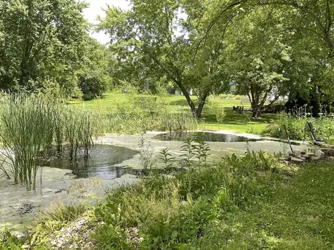 41W610 Silvana Drive Elgin IL 60124