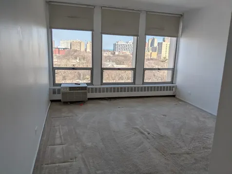 1401 East 55th Street Chicago IL 60615