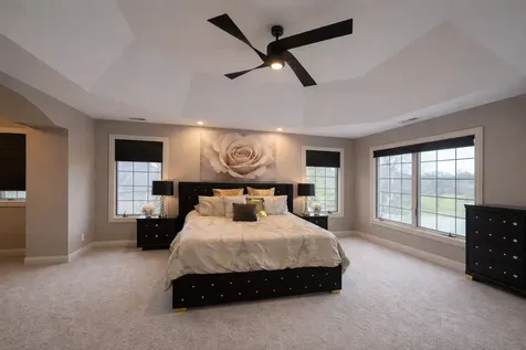 22542 Swanstone Court Frankfort IL 60423