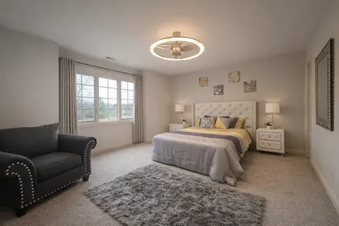 22542 Swanstone Court Frankfort IL 60423