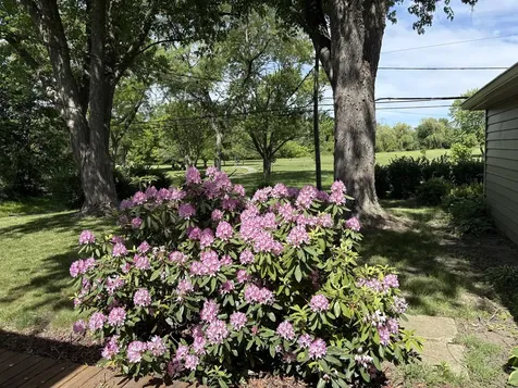 118 Willow Street Park Forest IL 60466