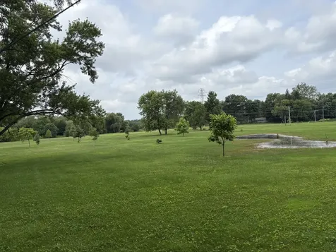 118 Willow Street Park Forest IL 60466