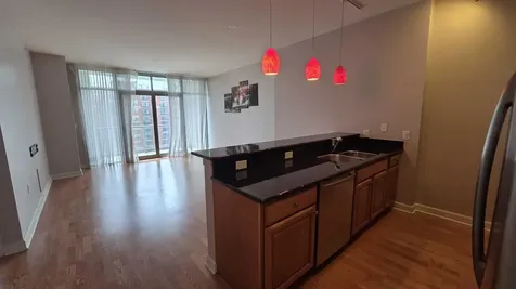 1235 South Prairie Avenue Chicago IL 60605