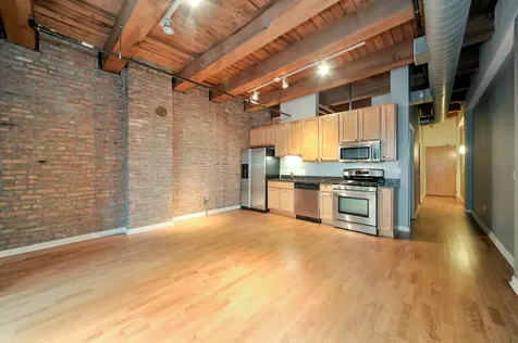 1503 South State Street Chicago IL 60605