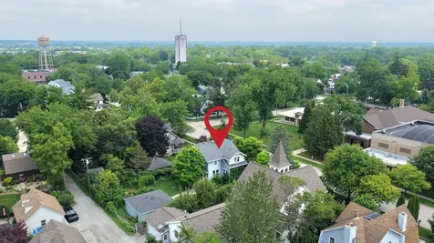 138 Hickory Street Frankfort IL 60423