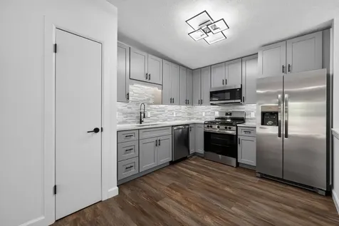 642 Swan Drive Grayslake IL 60030