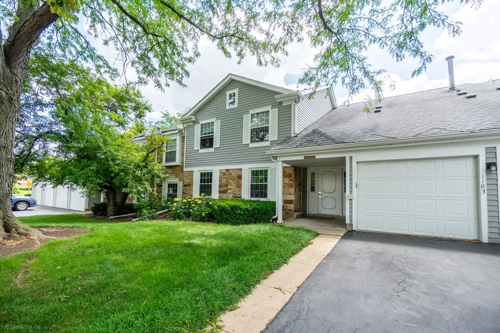 1181 Auburn Lane Buffalo Grove IL 60089