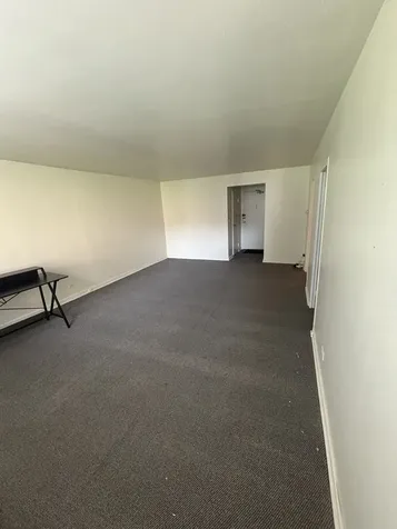 253 East Delaware Place Chicago IL 60611