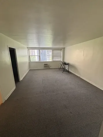 253 East Delaware Place Chicago IL 60611