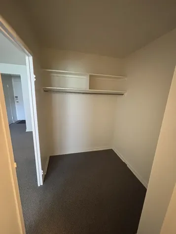 253 East Delaware Place Chicago IL 60611