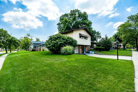 5539 La Palm Drive Oak Forest IL 60452