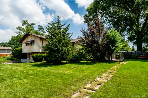 5539 La Palm Drive Oak Forest IL 60452