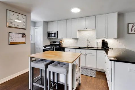 1067 Carpenter Court Elk Grove Village IL 60007
