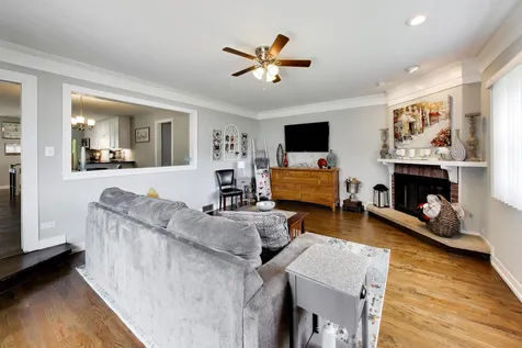 1067 Carpenter Court Elk Grove Village IL 60007