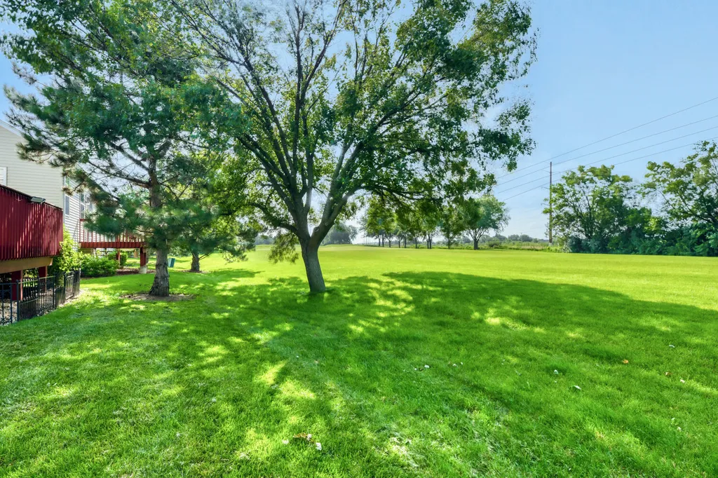21119 West Walnut Lane Plainfield IL 60544