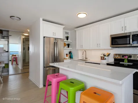 1455 North Sandburg Terrace Chicago IL 60610