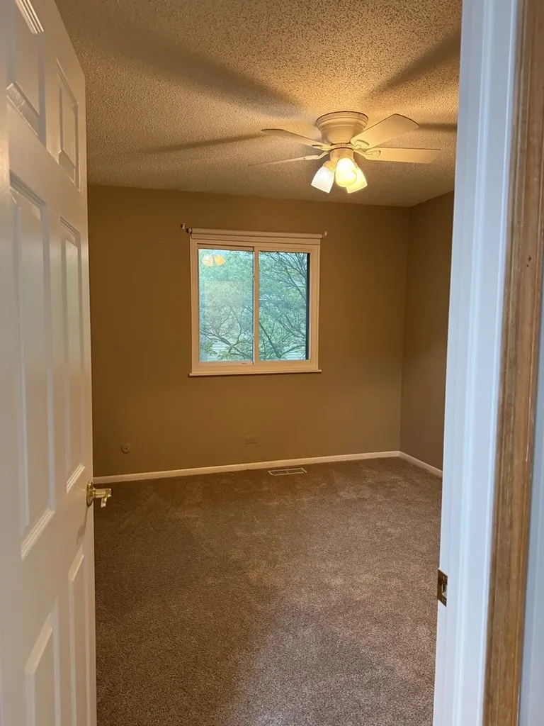 1910 Heatherway Lane New Lenox IL 60451