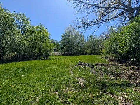 14545 Woodland Avenue Orland Park IL 60462
