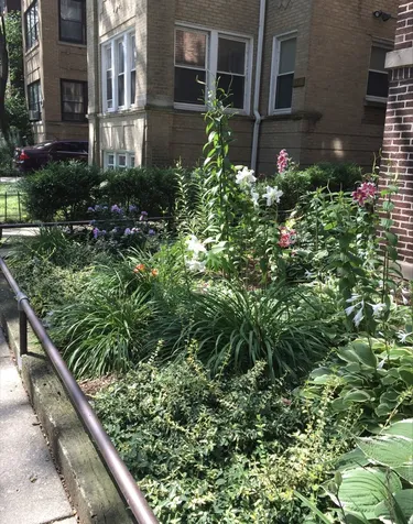 1432 West Jonquil Terrace W Chicago IL 60626