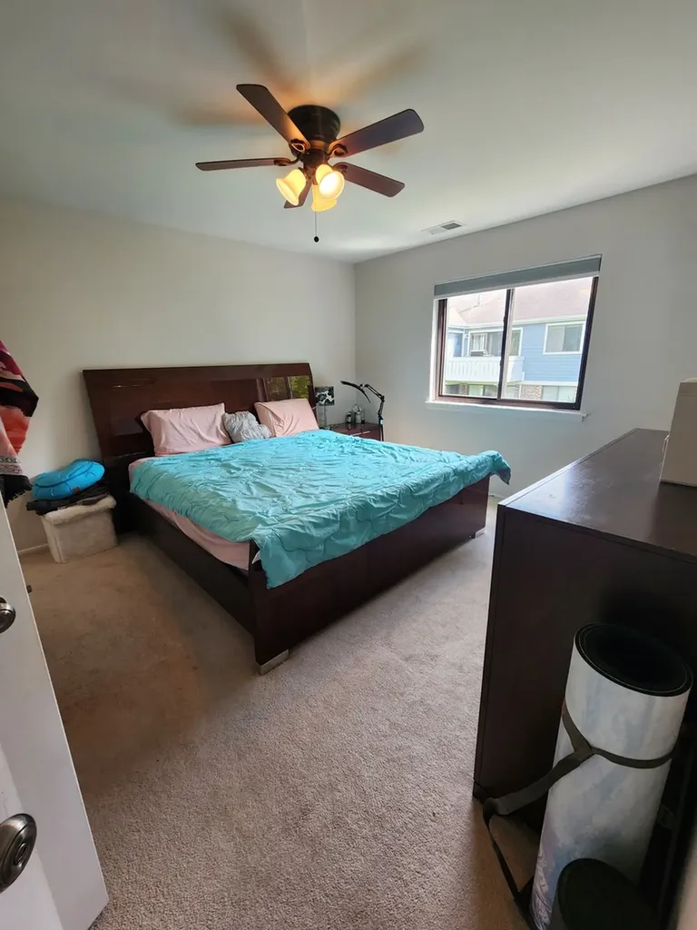 220 Hawthorne Court Schaumburg IL 60193