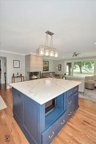 801 North Stone Avenue La Grange Park IL 60526