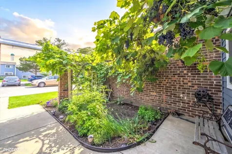 411 Hickory Drive Wheeling IL 60090