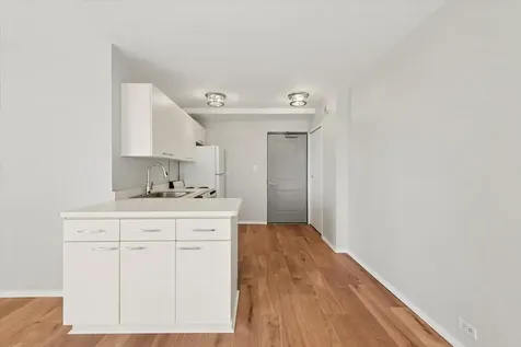 3420 North Lake Shore Drive Chicago IL 60657