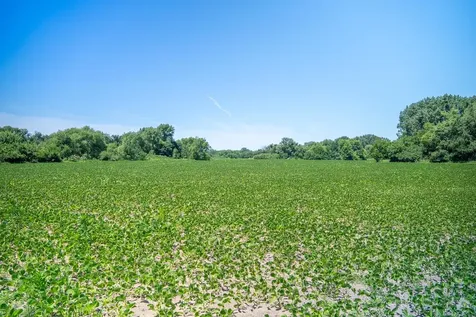 Inlet Road Amboy IL 61310