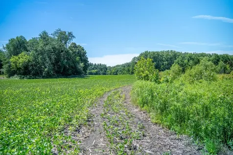 Inlet Road Amboy IL 61310